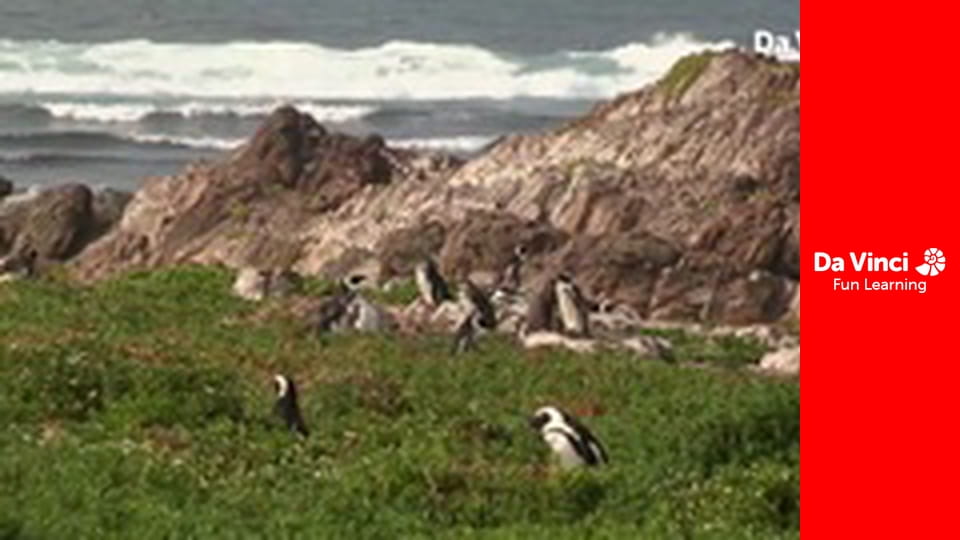 Сіяя - Рушайте з нами - Пошук Великої сімки. Частина 1: Едемський сад