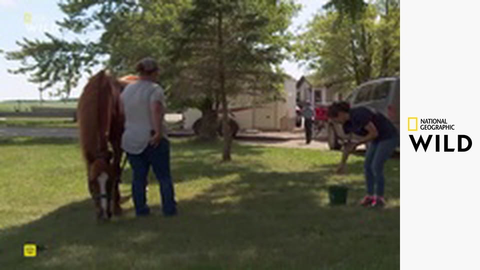 Невероятный доктор Пол S23E4