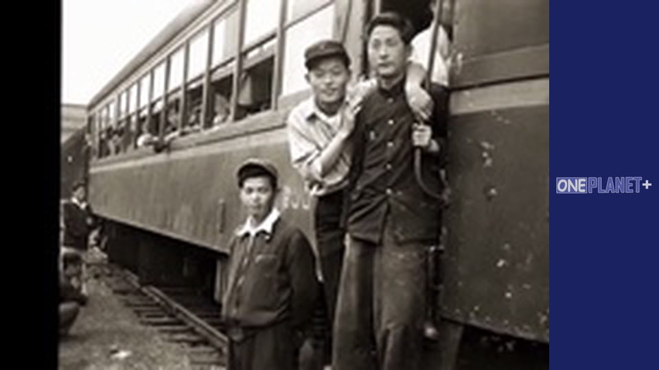 Railway Stories - series 5