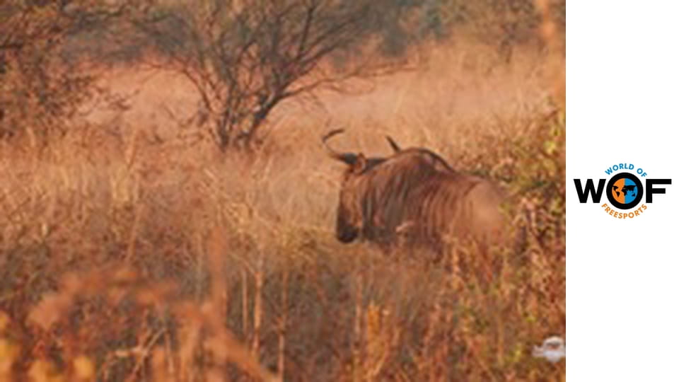 Motor Sport Séria 1 Epizóda 1