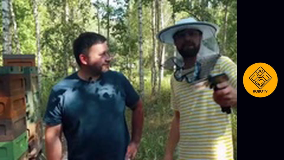 Jak opiekować się pszczołami