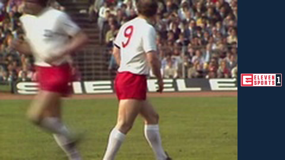 Bundesliga Dino - HSV