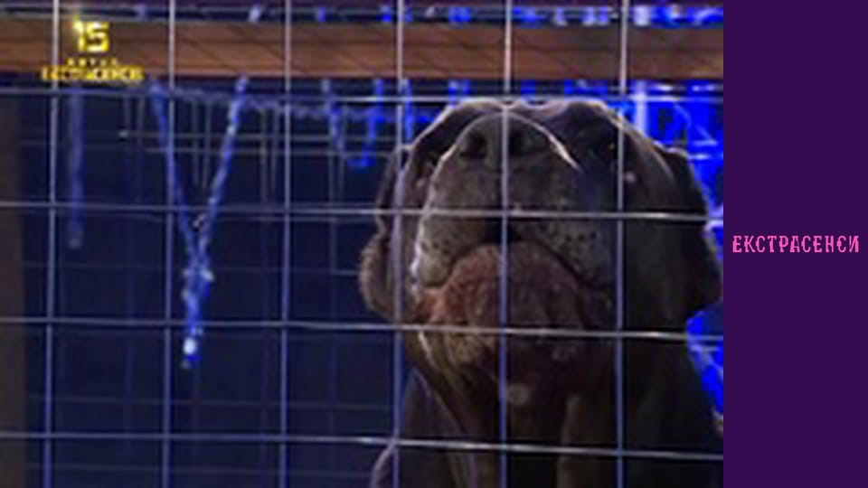 Season 15, Episode 3, Part 1