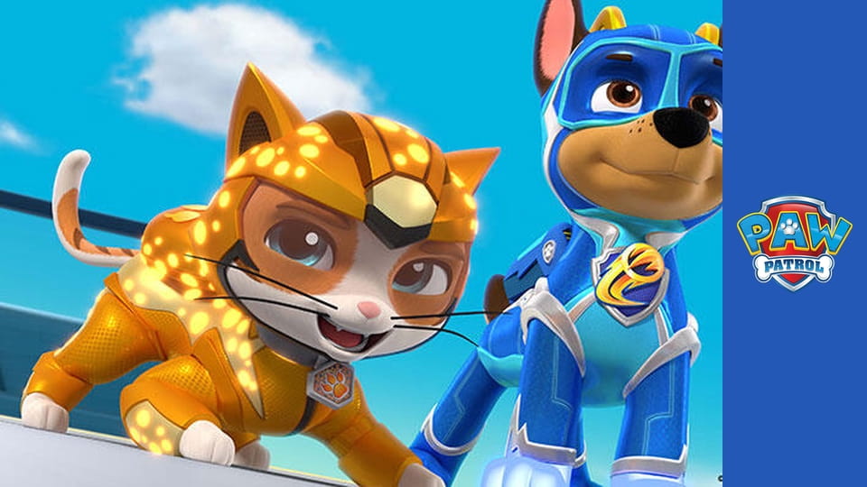 Urmărește online Patrula căţeluşilor Sezonul 2 Episodul 15