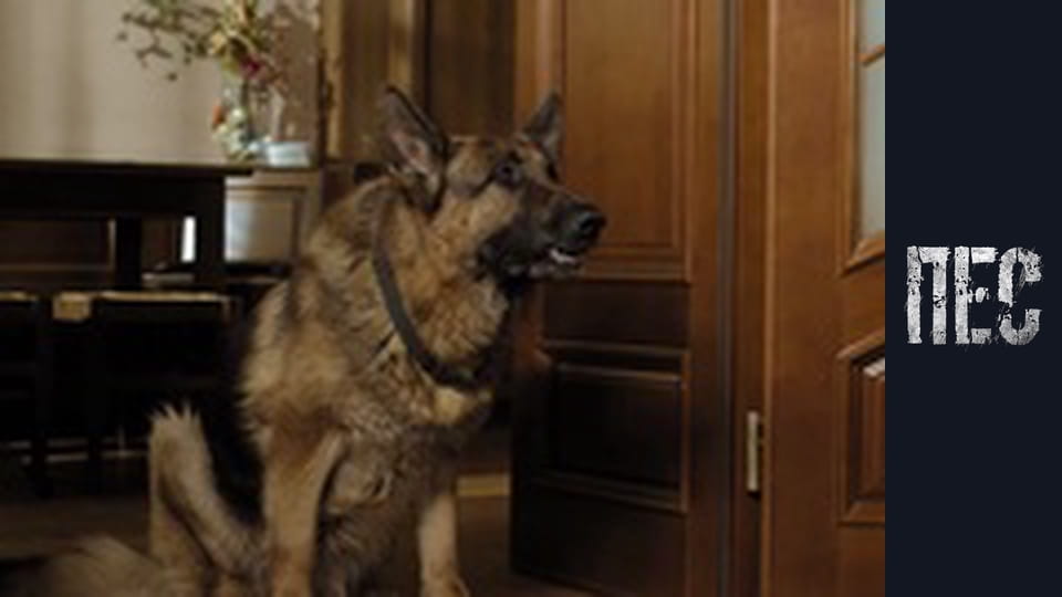 Dog, Season 2, Episode 24