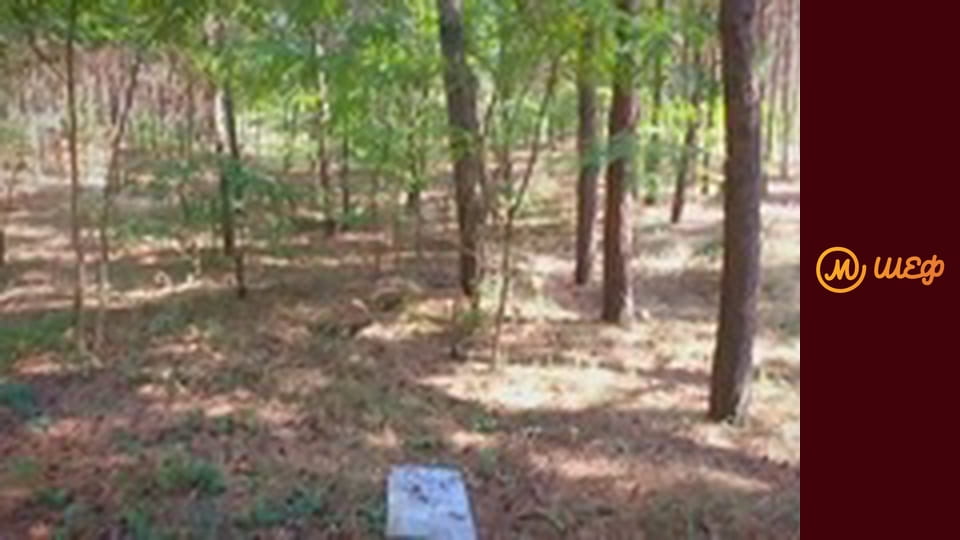 Season 7, Episode 7, Part 8