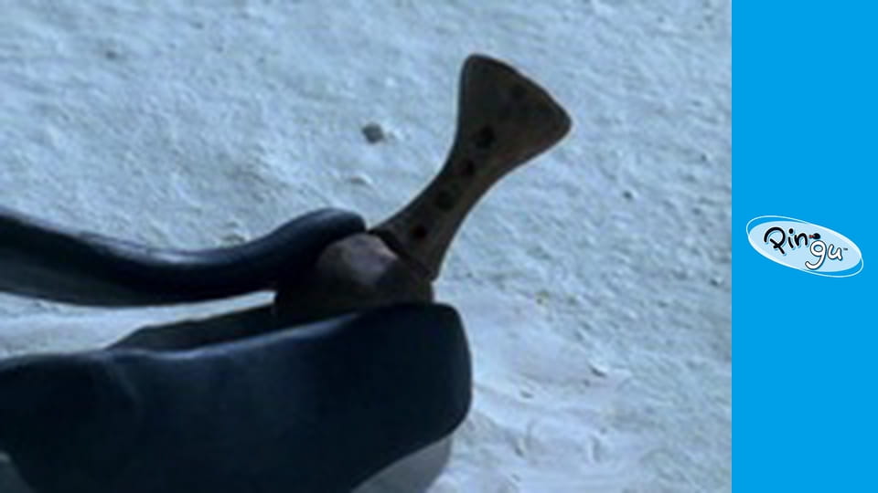 Pingu Řada 6 Epizoda 16