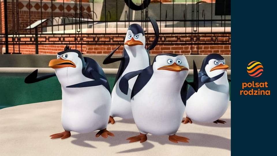 Pingwiny z Madagaskaru S2E10 - Zaraza! / Dorwać kierowcę