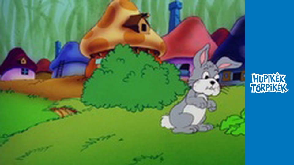 Törpicúr eltünt / A legkisebb boszorkány