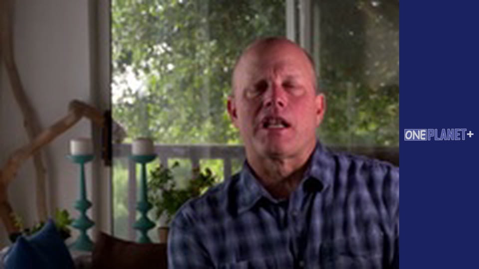 It is worth visiting. - episode 7