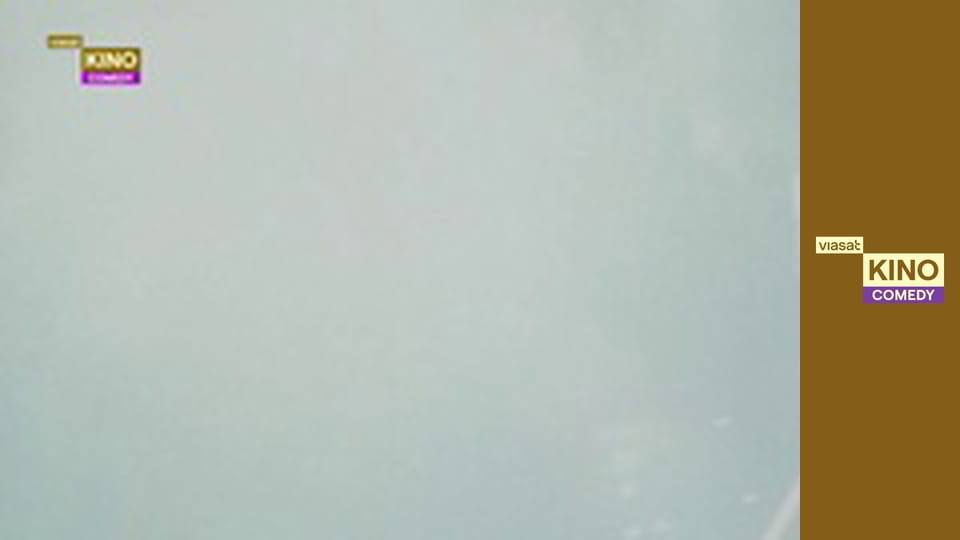 Пожежний пес