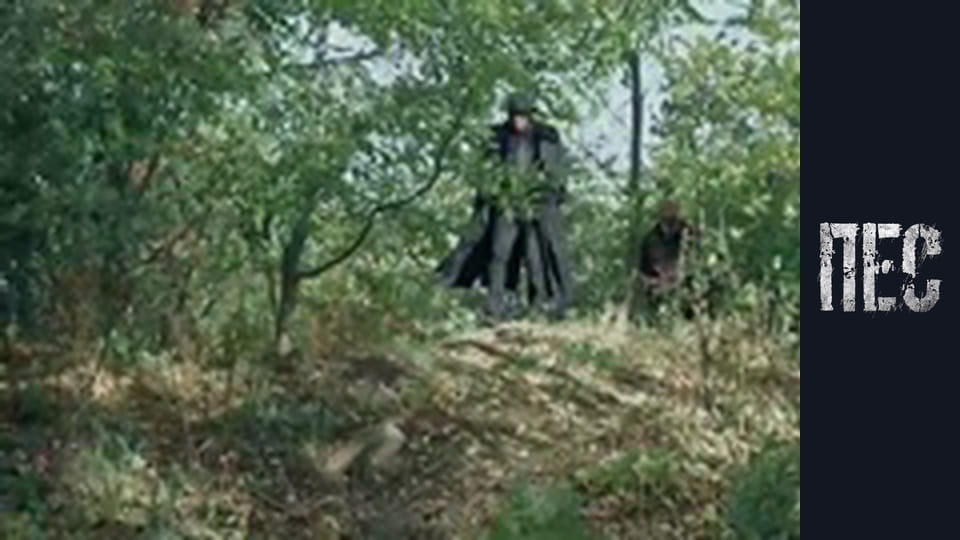 Dog, Season 6, Episode 6