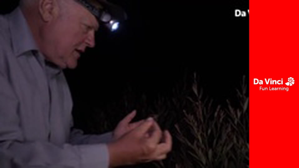 Сіяя - Найдикіший мис - Гори Готтентотс-Голланд - Перетинаючи гори