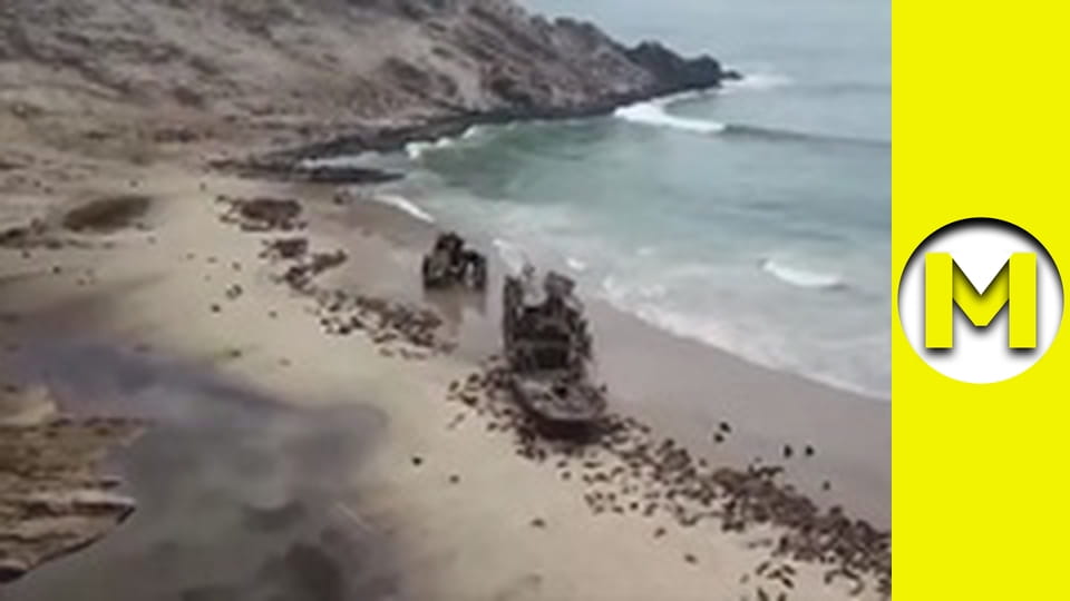 Max TV - season 1 - episode 120