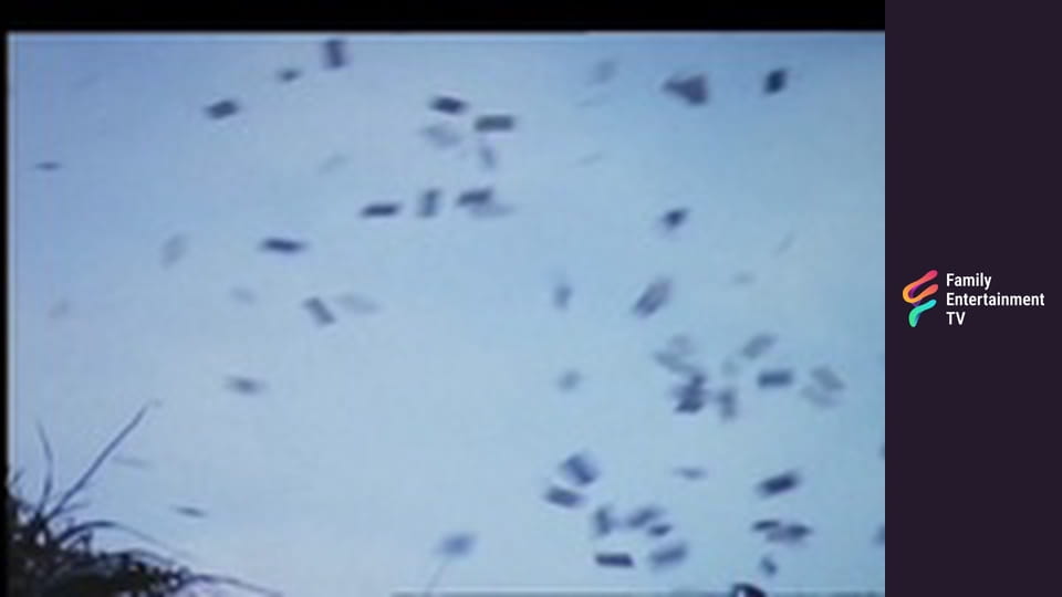 Island of Adventure Part 1