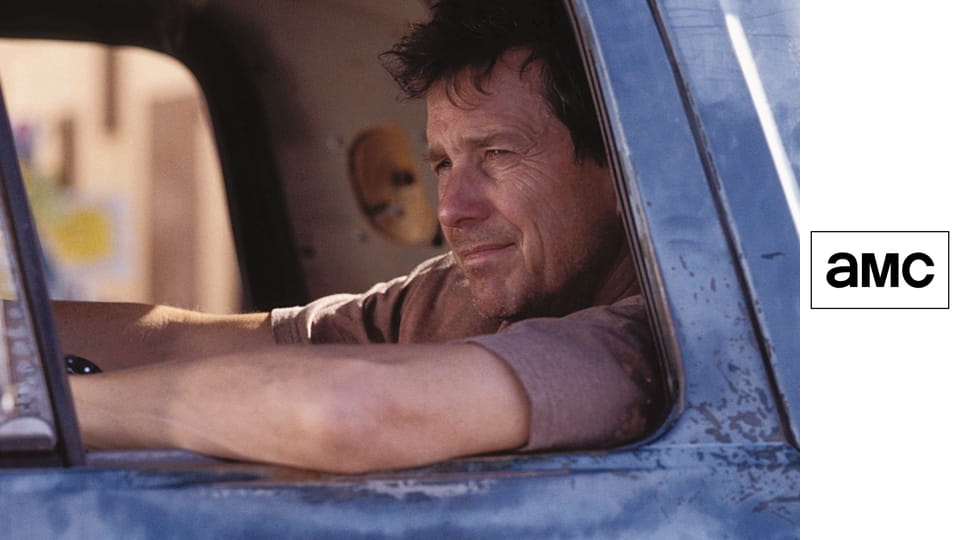 Король и королева Залива Лунного Света