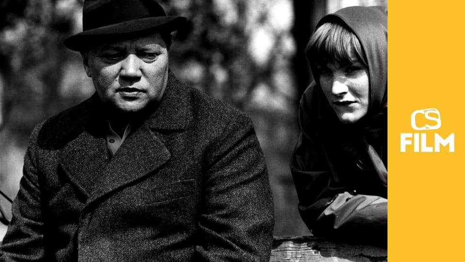 Dým bramborové natě