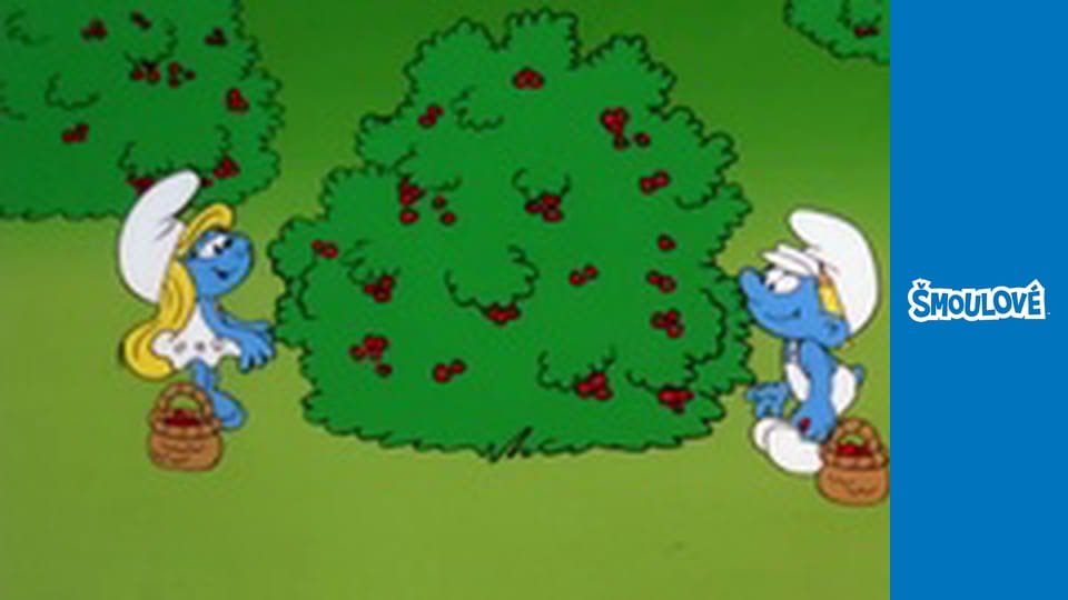 Poslední šmorůvka