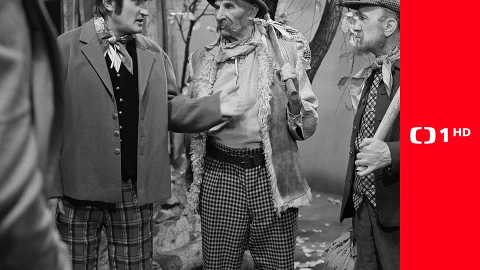 Nejsem chmýrko na bodláku