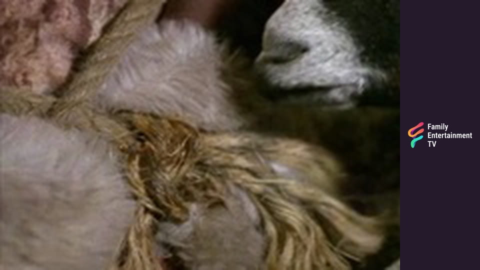 The Secret of Killimoon Episode 4