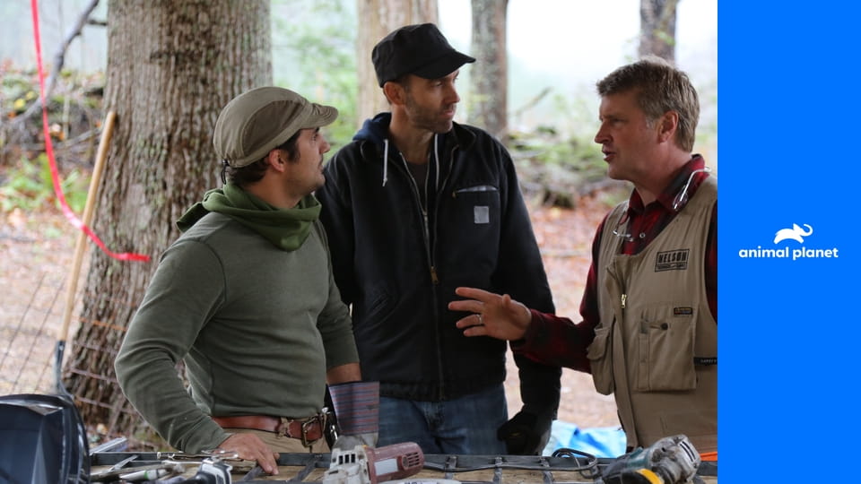 Дома на деревьях S5E1 - Буддийский дом на дереве