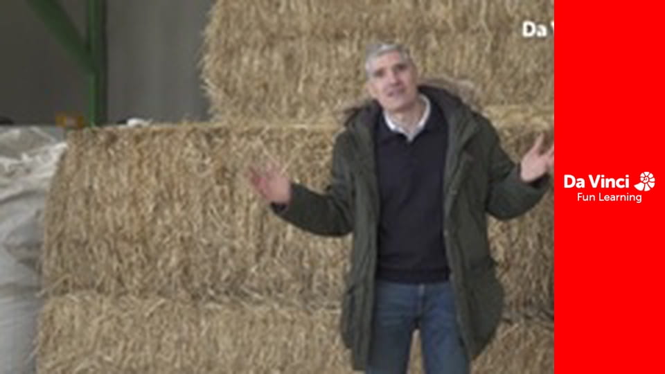 Futuris - Butanolul ar putea fi noua noastră alternativă la combustibilii fosili?