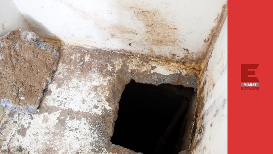 Кримінальне зростання S1E7 - Брати Динаміт і контрабандисти вугрів