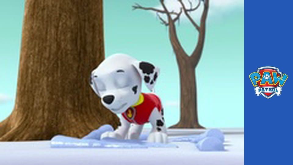 Paw Patrol Season 2 Episode 8
