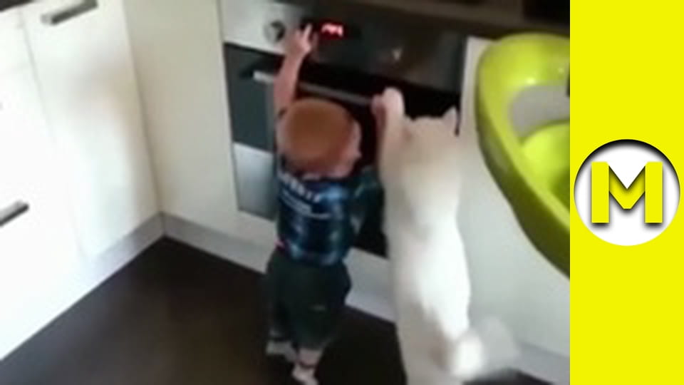 Max TV - season 1 - episode 122