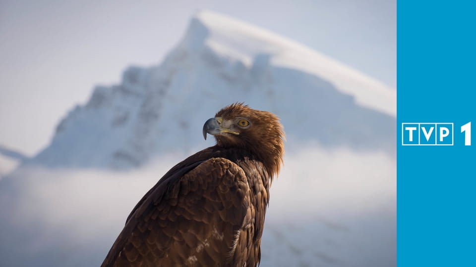 Planeta Ziemia S3E1 - Wybrzeża