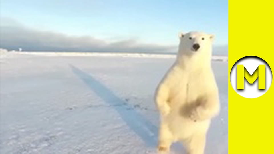 Max TV - season 2 - episode 47