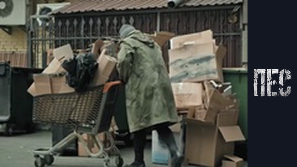 Dog, Season 6, Episode 18