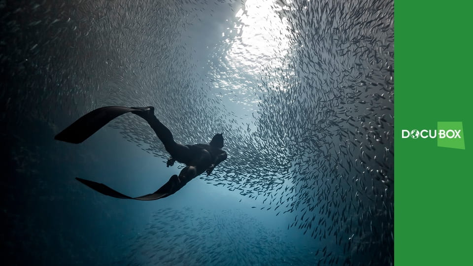 Podwodny świat S6E10