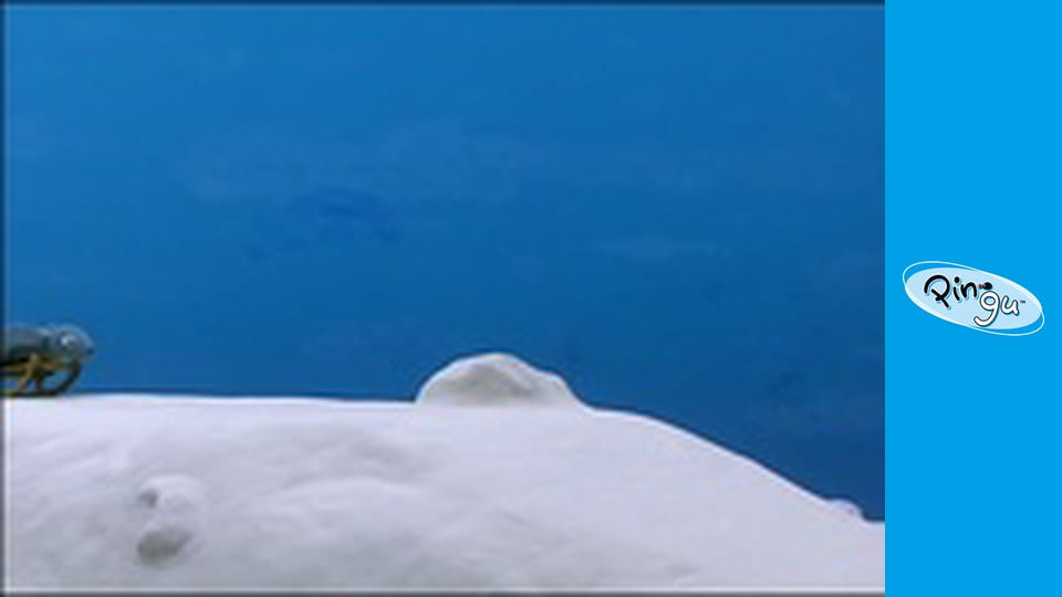 The Pingu Show Séria 1 Epizóda 39