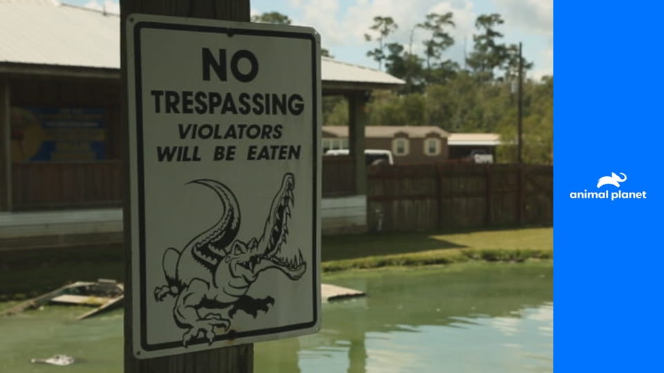 Правосудие Техаса S2E4 - Новая кровь