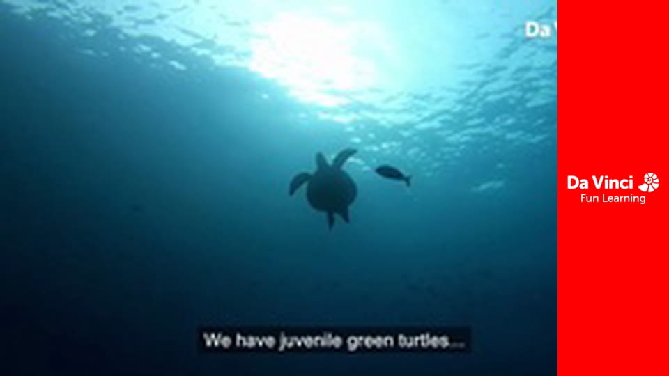 Ambasada zwierząt - Dzień z życia Jorge'a