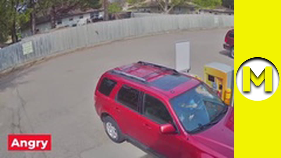 Max TV - season 1 - episode 16