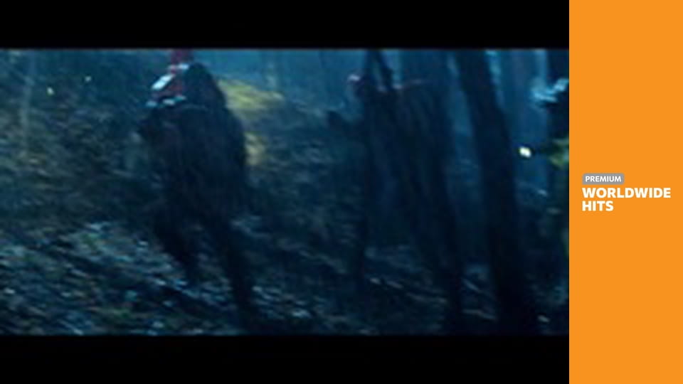 Rambo: Poslední krev