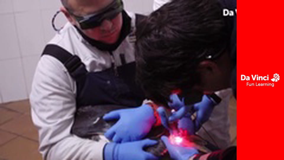 Animal Embassy - Gorilla Foot