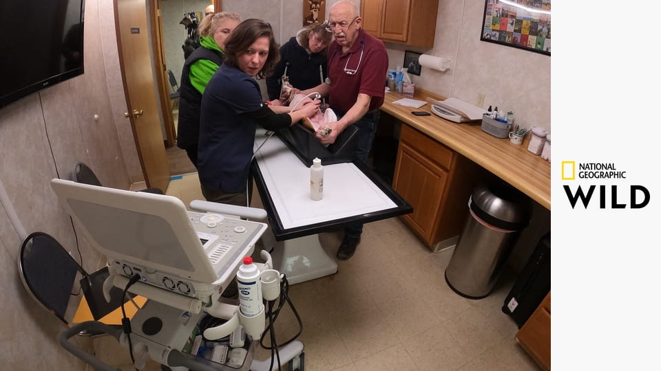 Невероятный доктор Пол S23E4