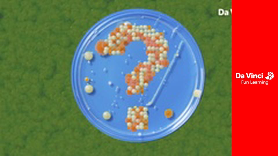 Know it All - What's so Great About Mould?