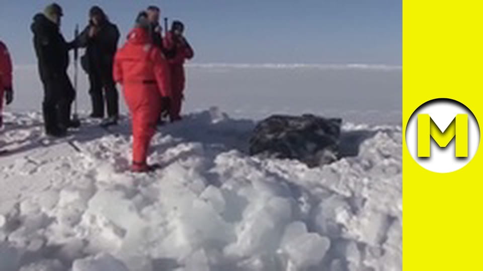 TOP (Max TV) - season 3 - episode 41