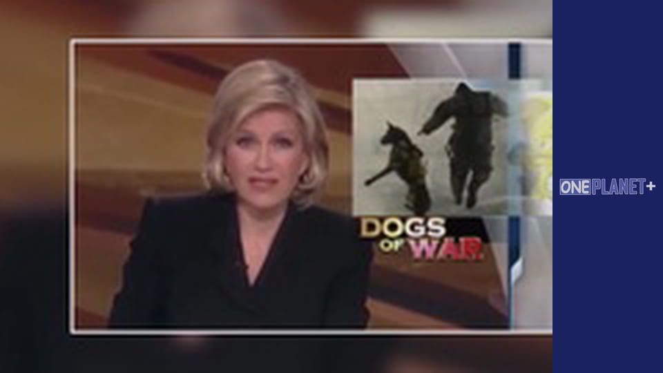 Your fantastic mind, Season 1, Episode 3