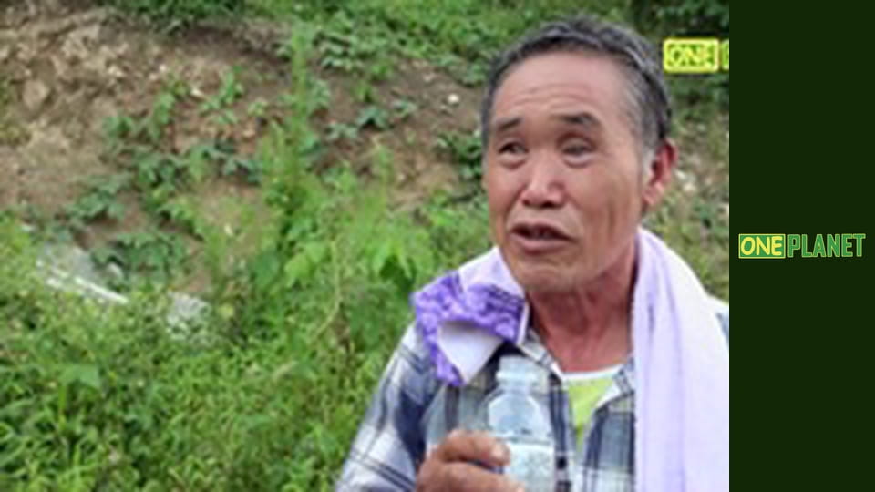 Медведи, 1 эп. Земля медведей.