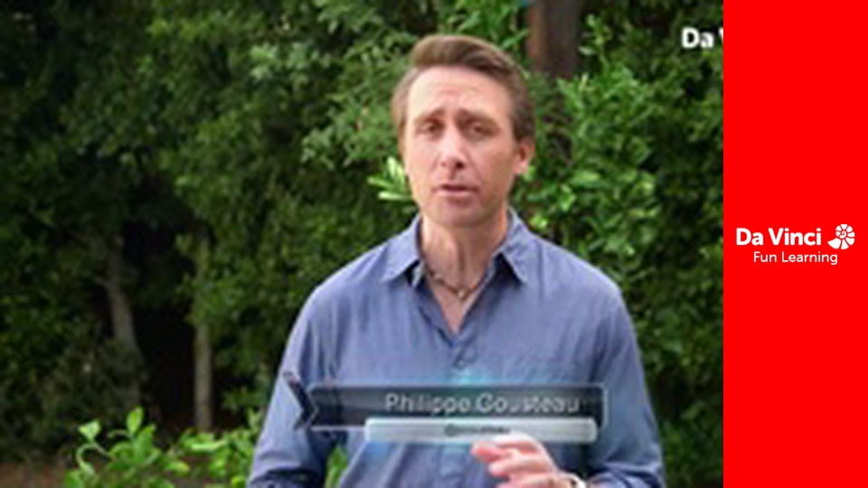 Xploration Awesome Planet - Animal Rescue