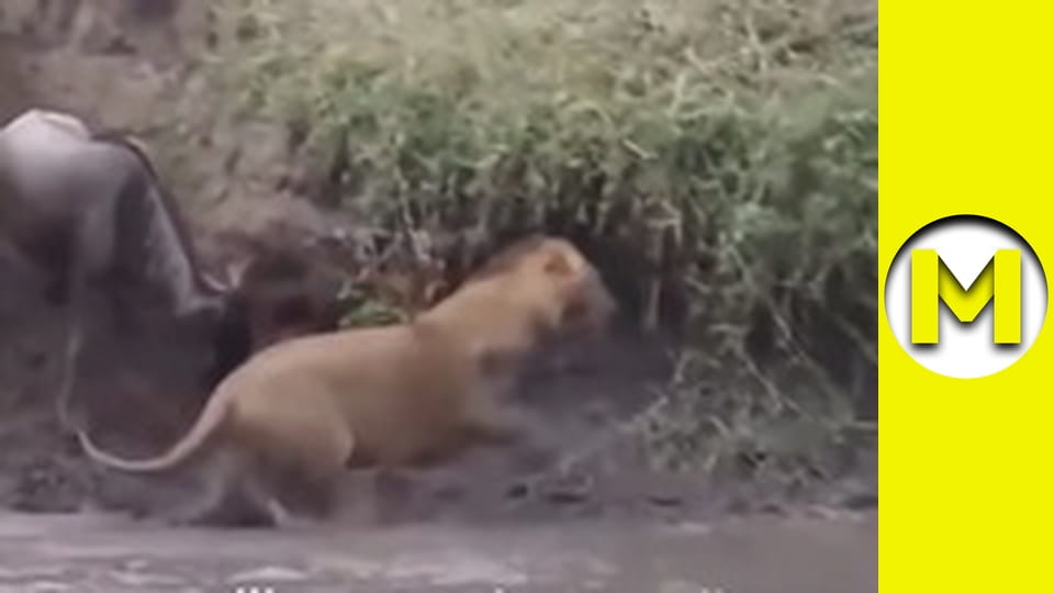 Interesting (Max TV) - season 1 - episode 3