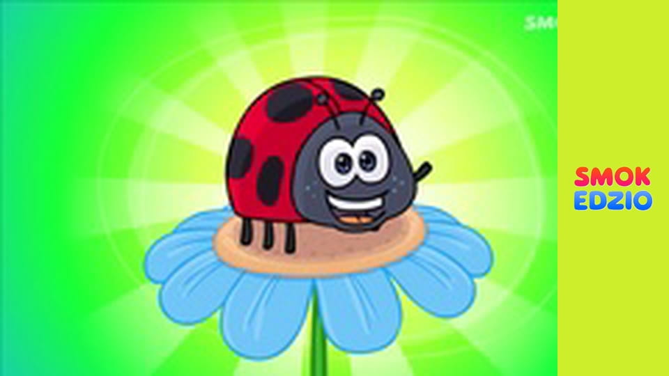 Tykanie to czasu jest miara