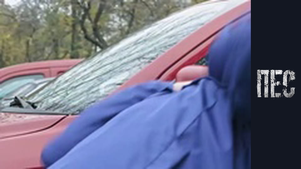 Dog, Season 6, Episode 20