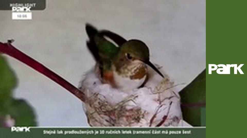 Všedný a nevšedný život zvierat