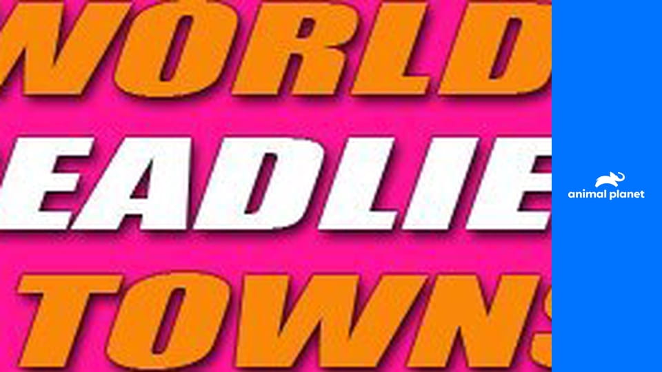 Самые опасные города мира S1E2